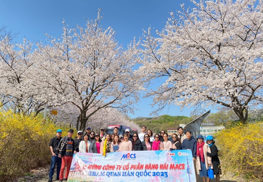 Công ty Cổ phần Hàng hải MACS tổ chức kỳ nghỉ mát năm 2023 tại Hàn Quốc cho toàn thể CB-CNV trong công ty